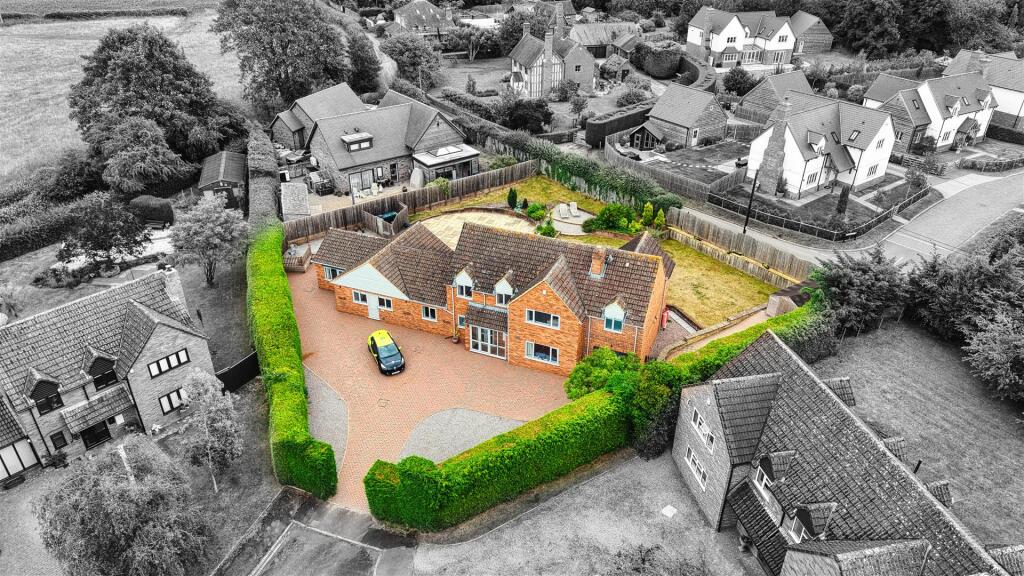 Little Green-2BW.jpg