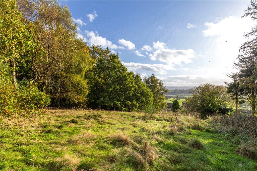 Expansive Land
