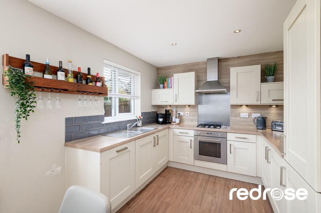 web_16 Old Thorns...