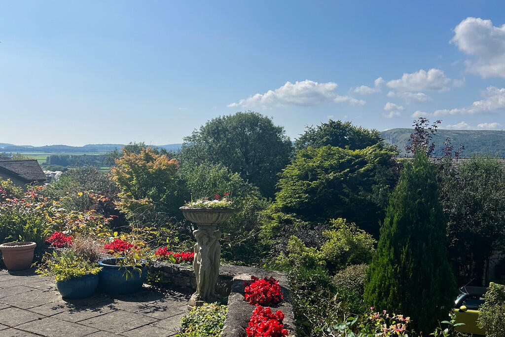 Garden in summer ...