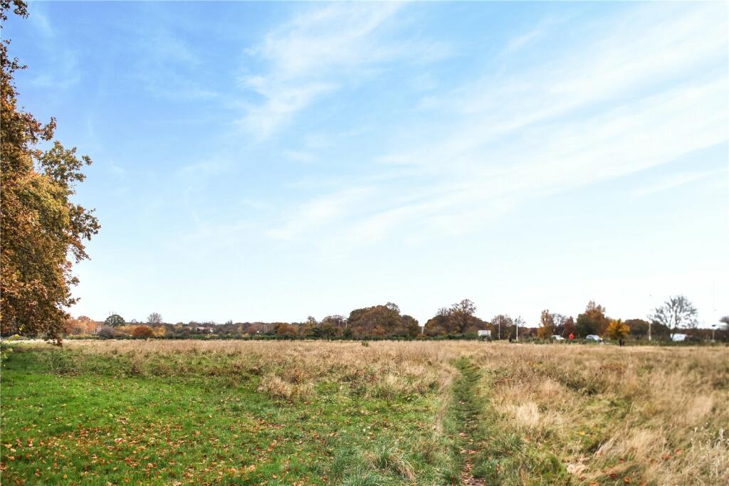 Wanstead Flats