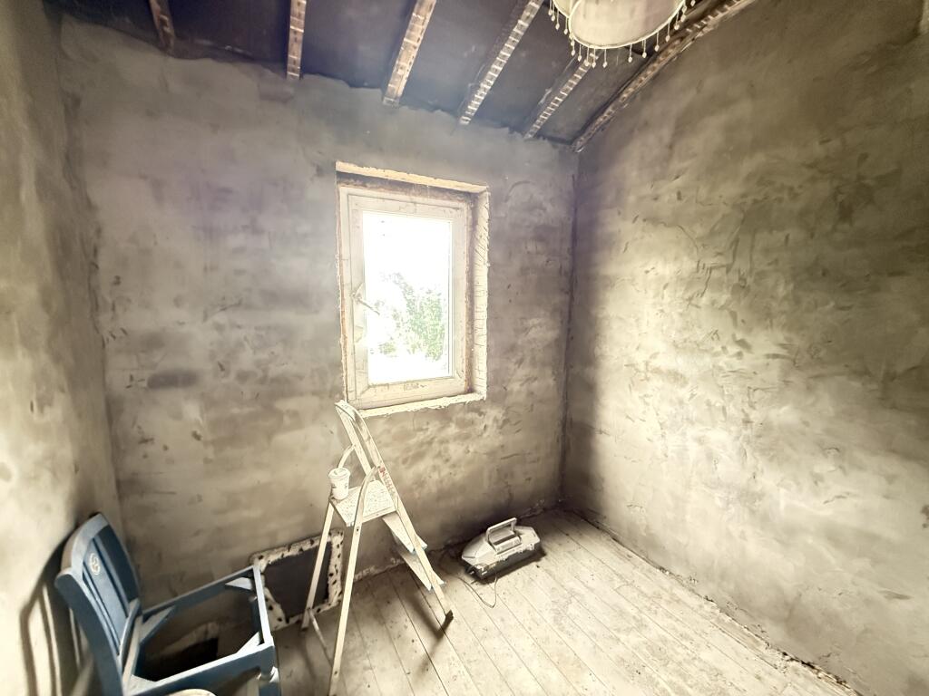 IMG 0788 T202507290959.jpg