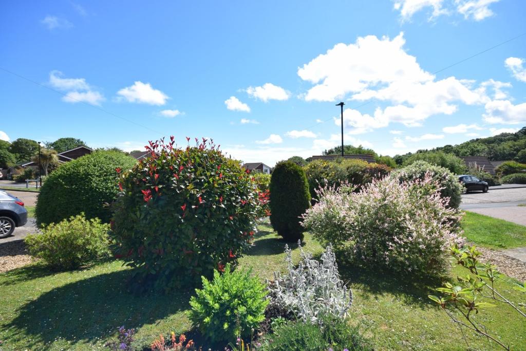 GARDEN F.JPG