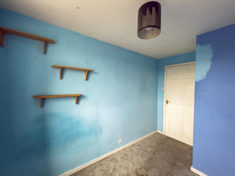 IMG 2445 T202508081502.jpg