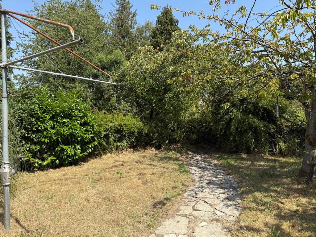t.jpg