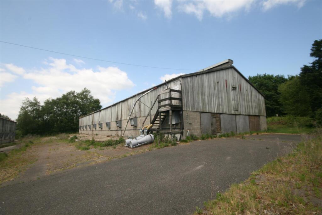 Yearlings Farm