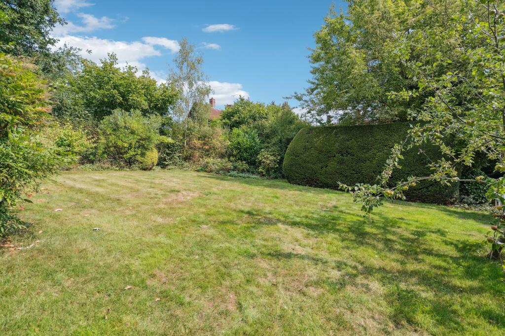Garden (3)