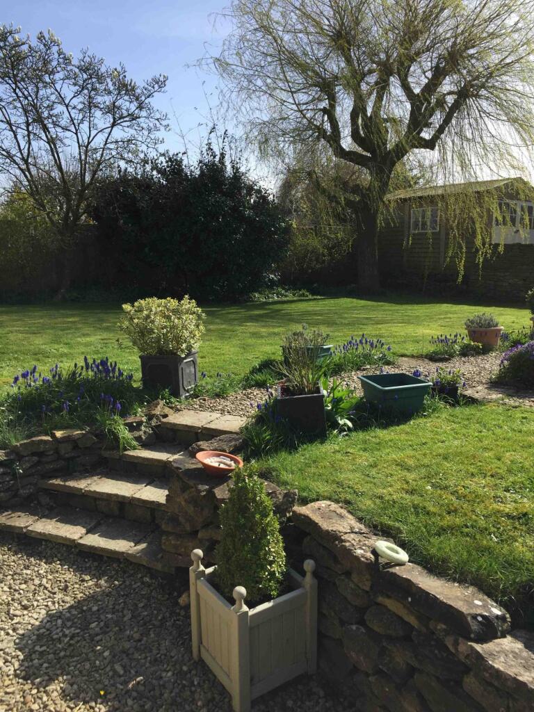 Garden photo