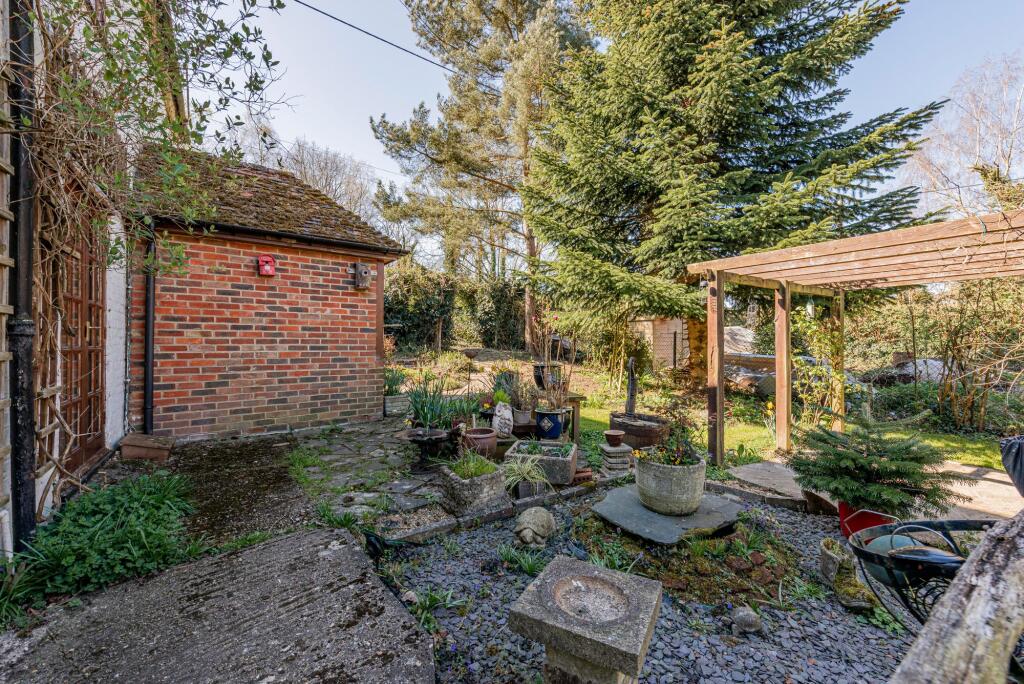 Garden (5)