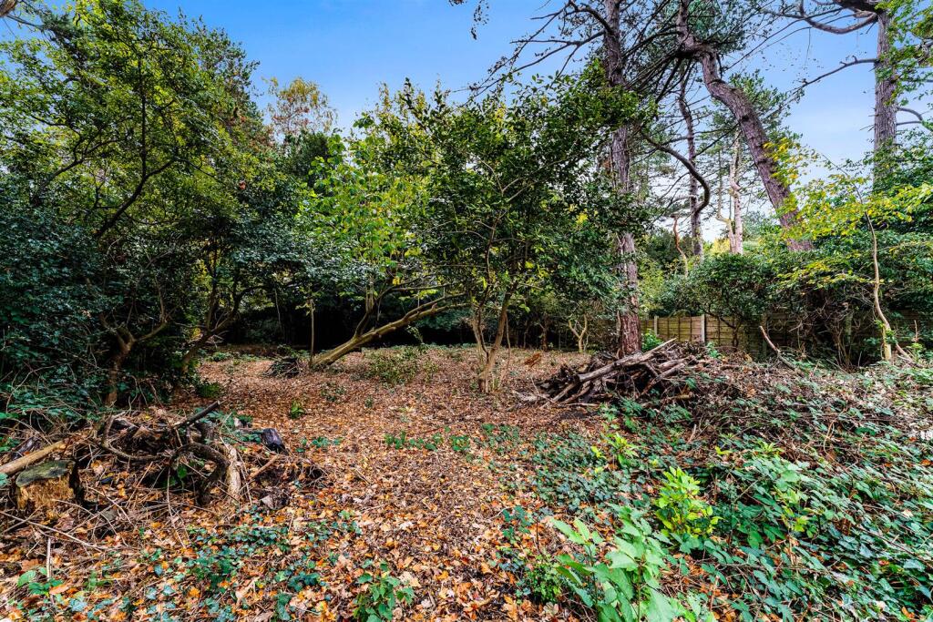 Woodland