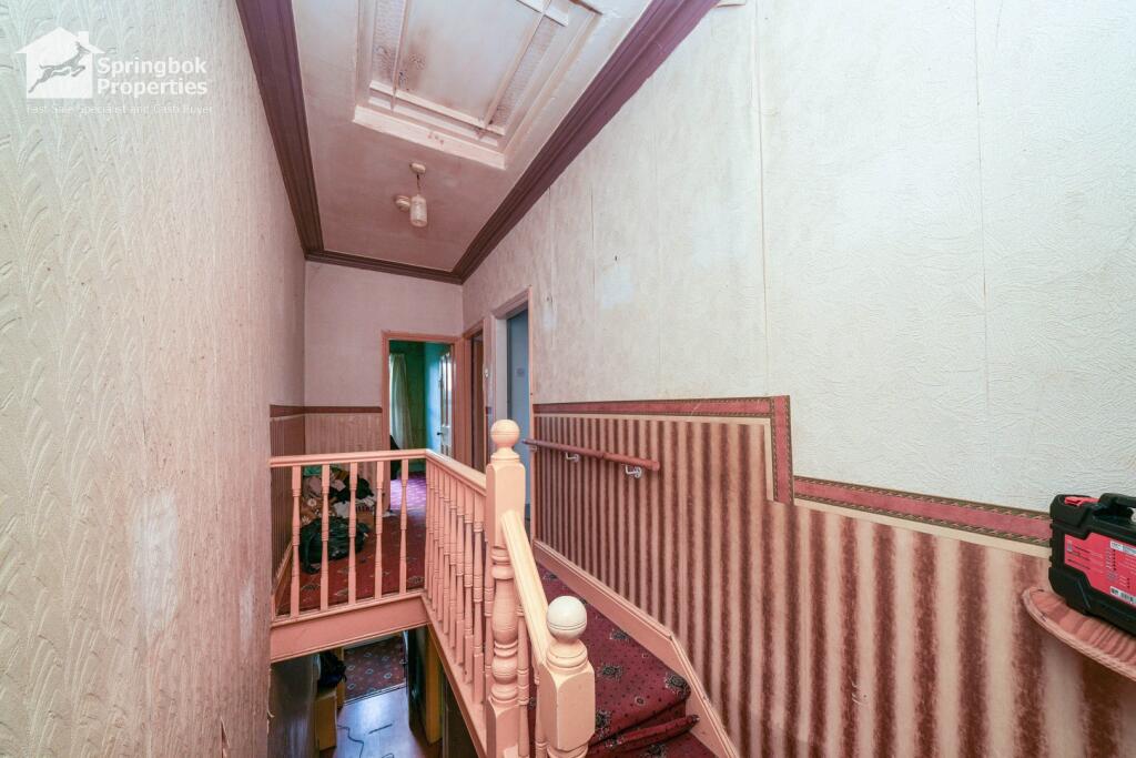 IMAGE 7 