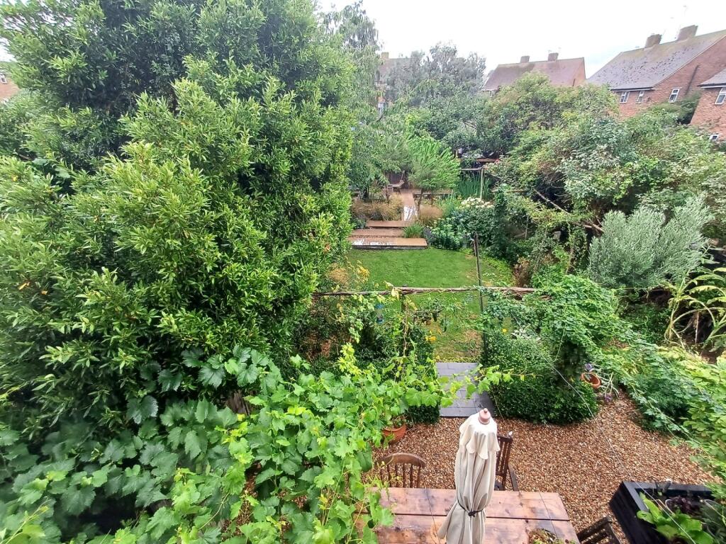Picture 19