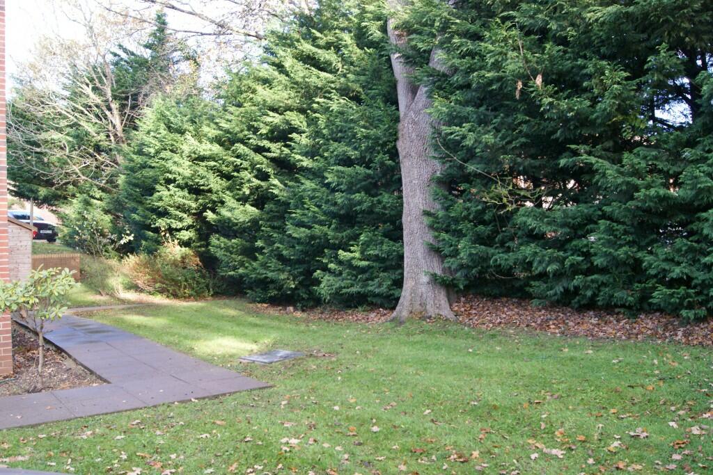 Lawn