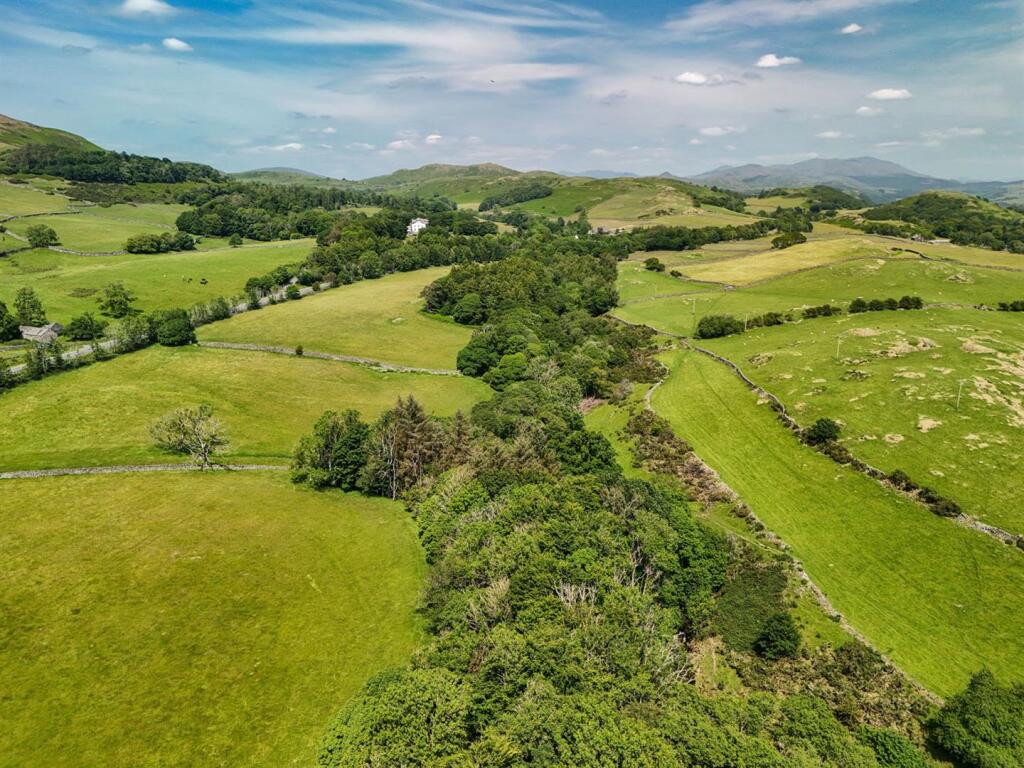 DJI_20250611134151_0834_D (1).jpg