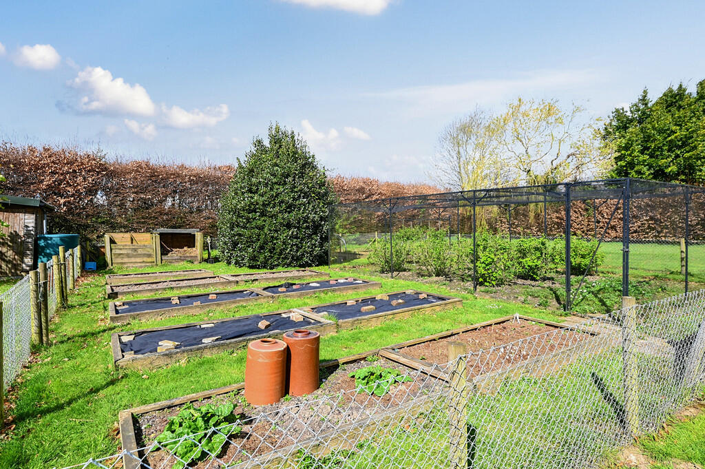 thornhill-tn31 (6...