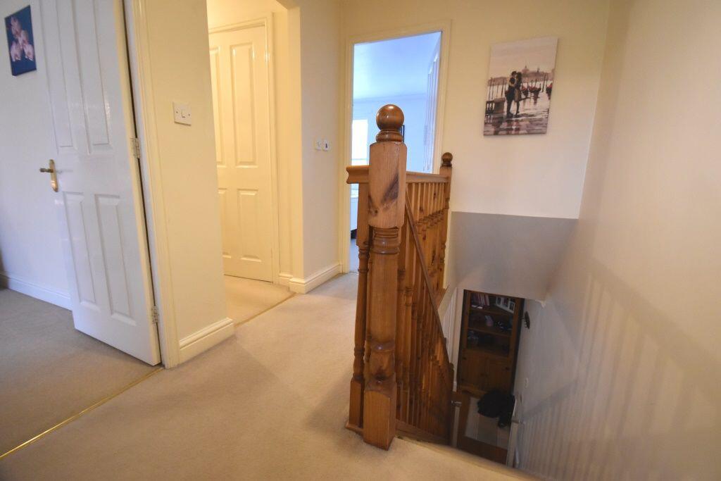 Photograph 16