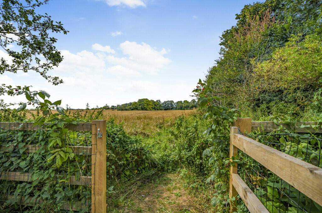 Countryside Views