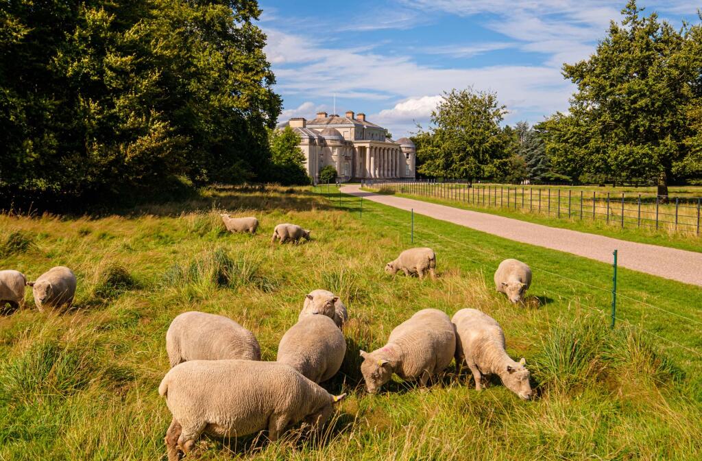 Beautiful grounds of Shrugborough Hall