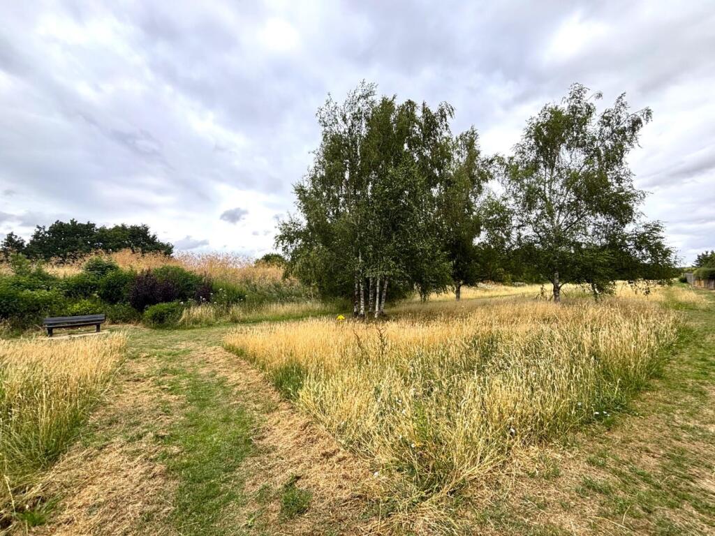 Walking field_1.jpeg