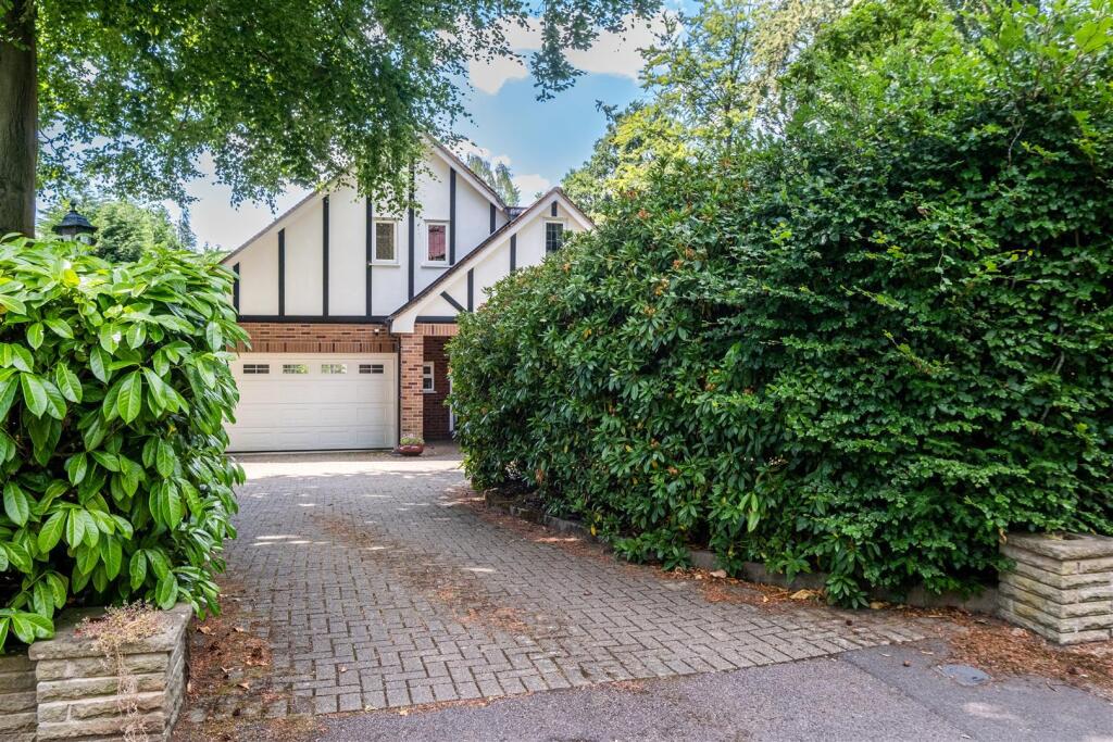 Full size-48 (Large).jpg