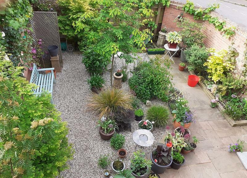 V. garden pic.jpg