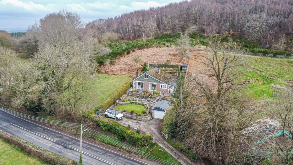 DJI_0056.jpg