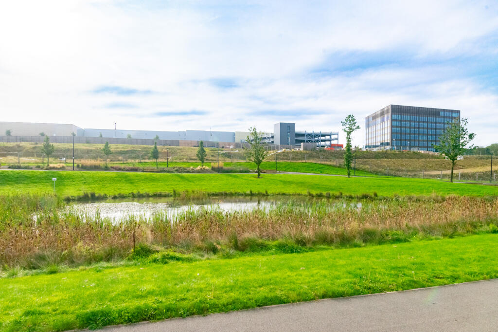 Parkland Setting