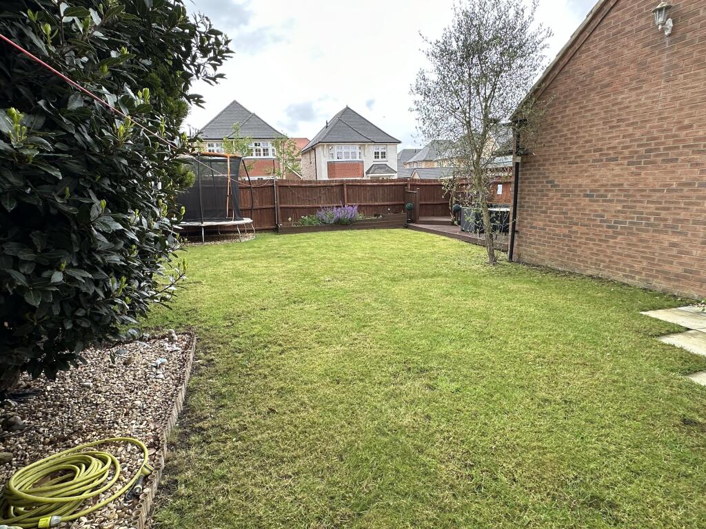 Garden 2.JPG