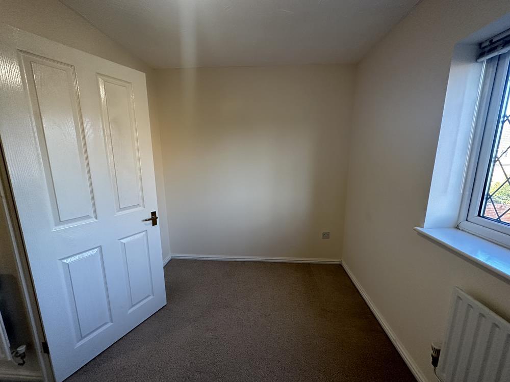 IMG_3644