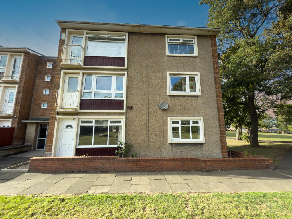 IMG 3925 T202509021251.jpg