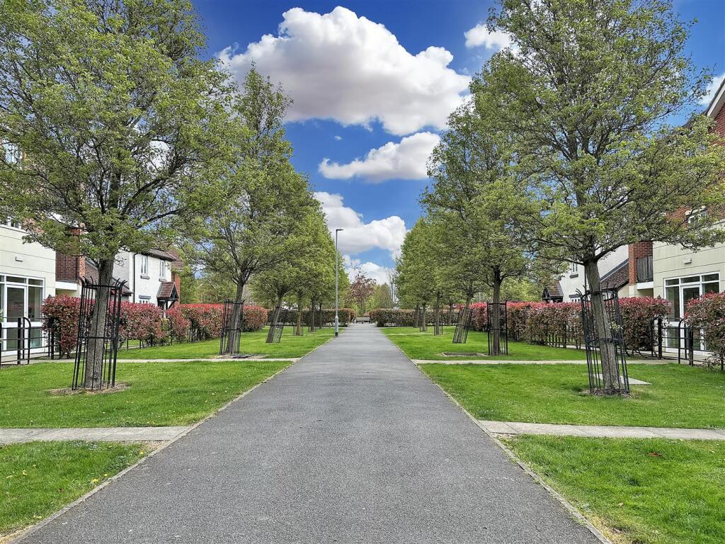 Delightful Tree-Lined Approach 070