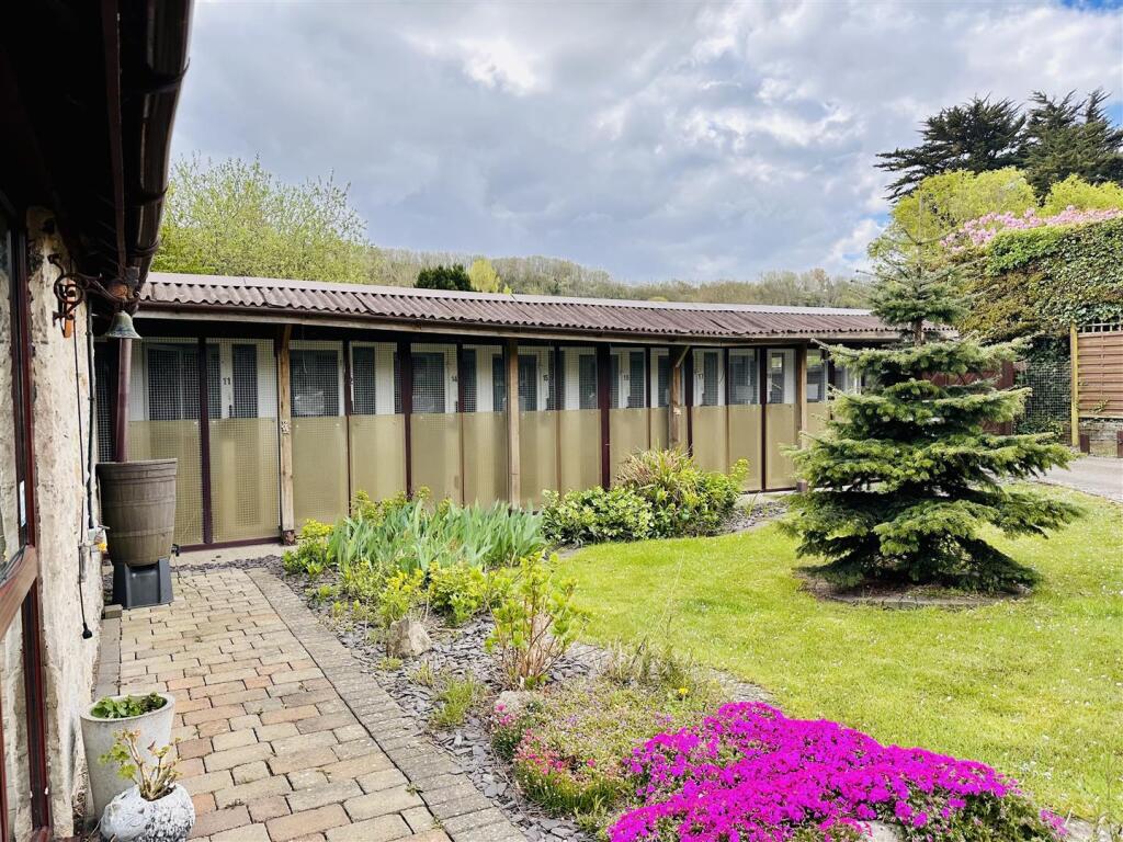 Detached Stone built Outbuilding/Cattery Reception