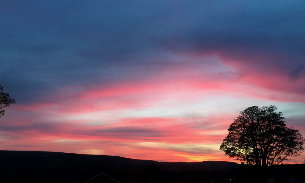 MERLEWOOD EXTRA PICS..png