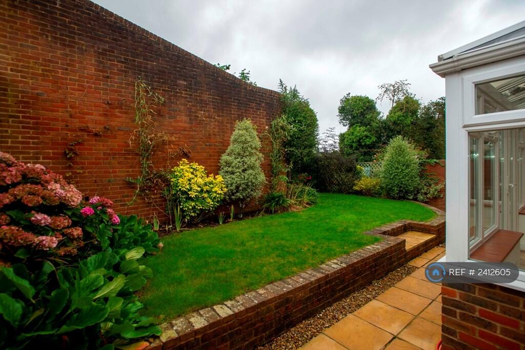 Back Garden