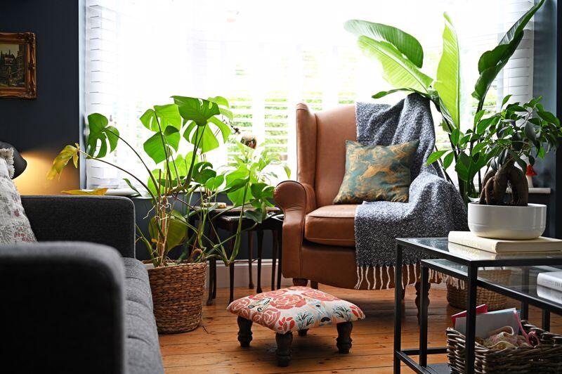 Beautiful Interior