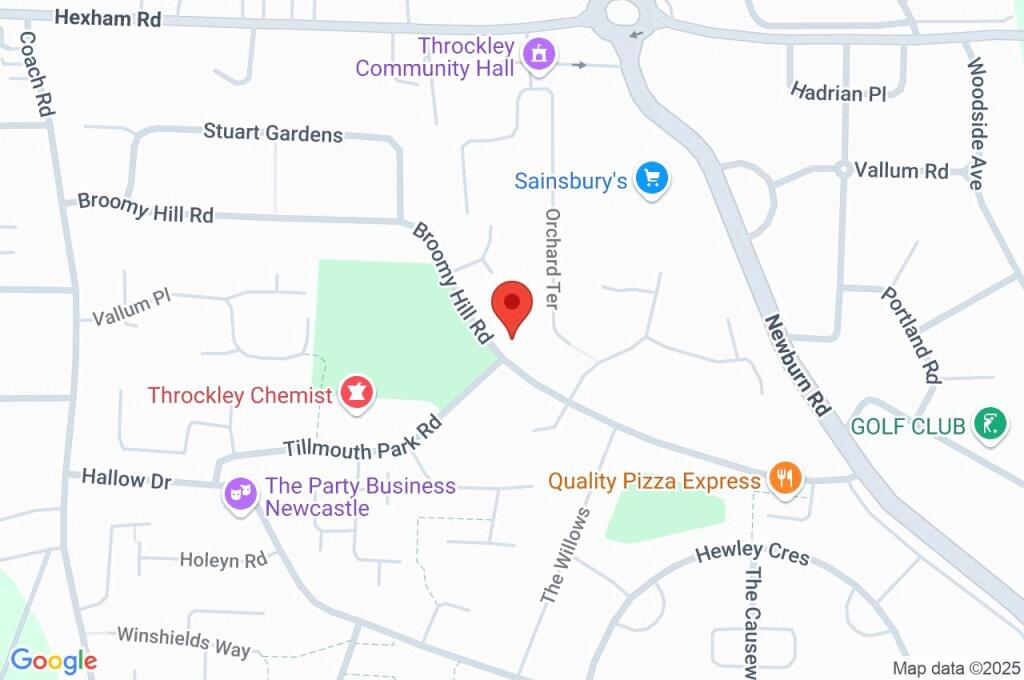 Google Maps Image