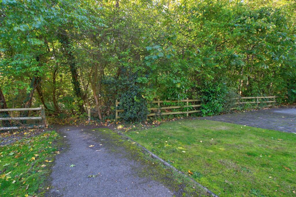 Footpath leading to the Woods
