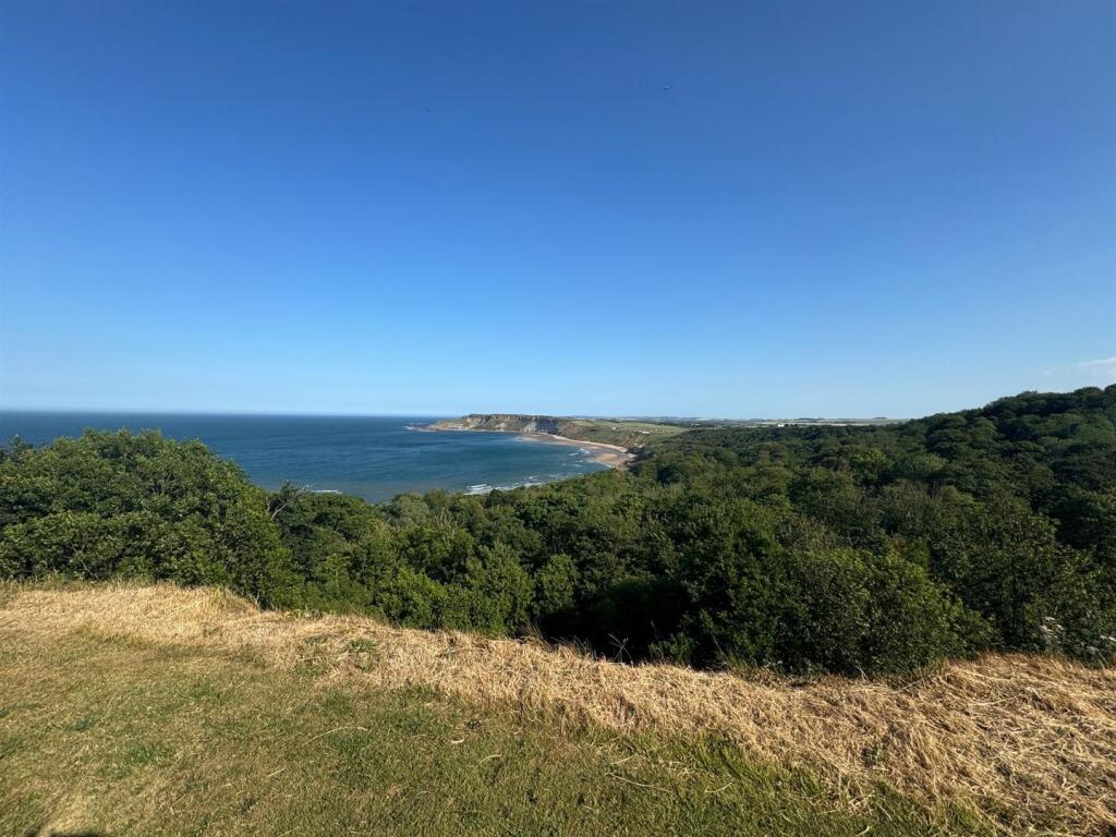 View.jpg