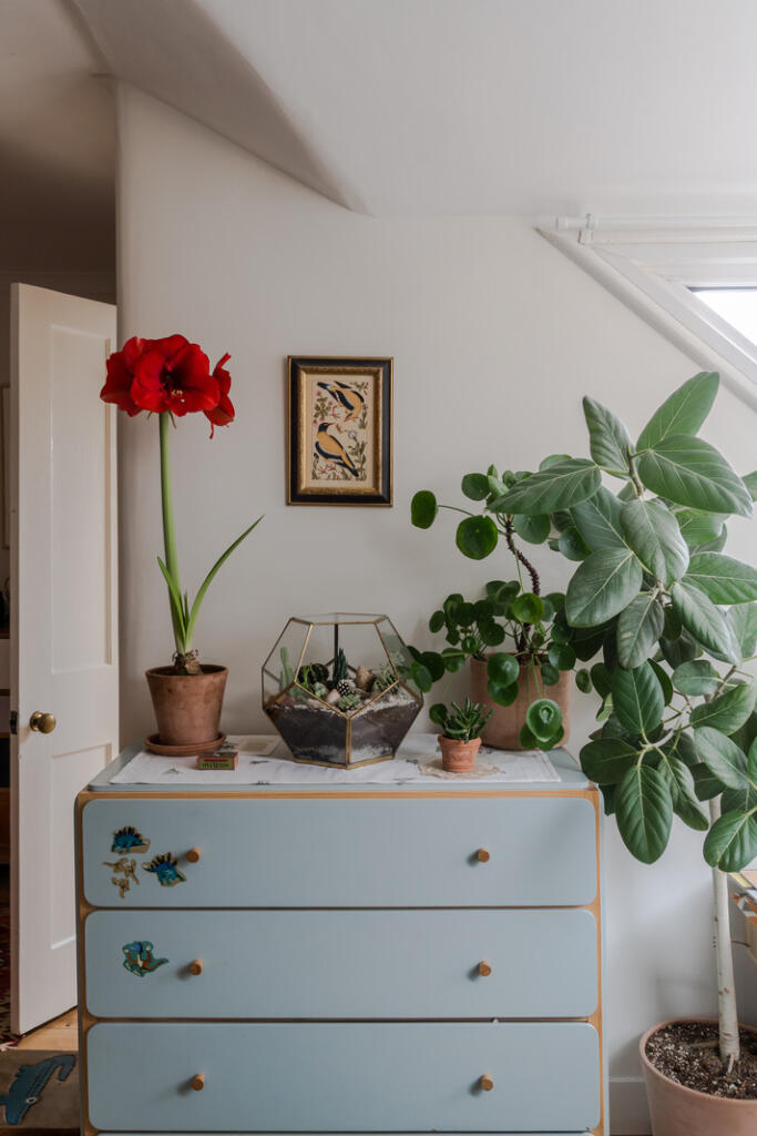 268655 - 5, 54 Anson Road-24.jpg