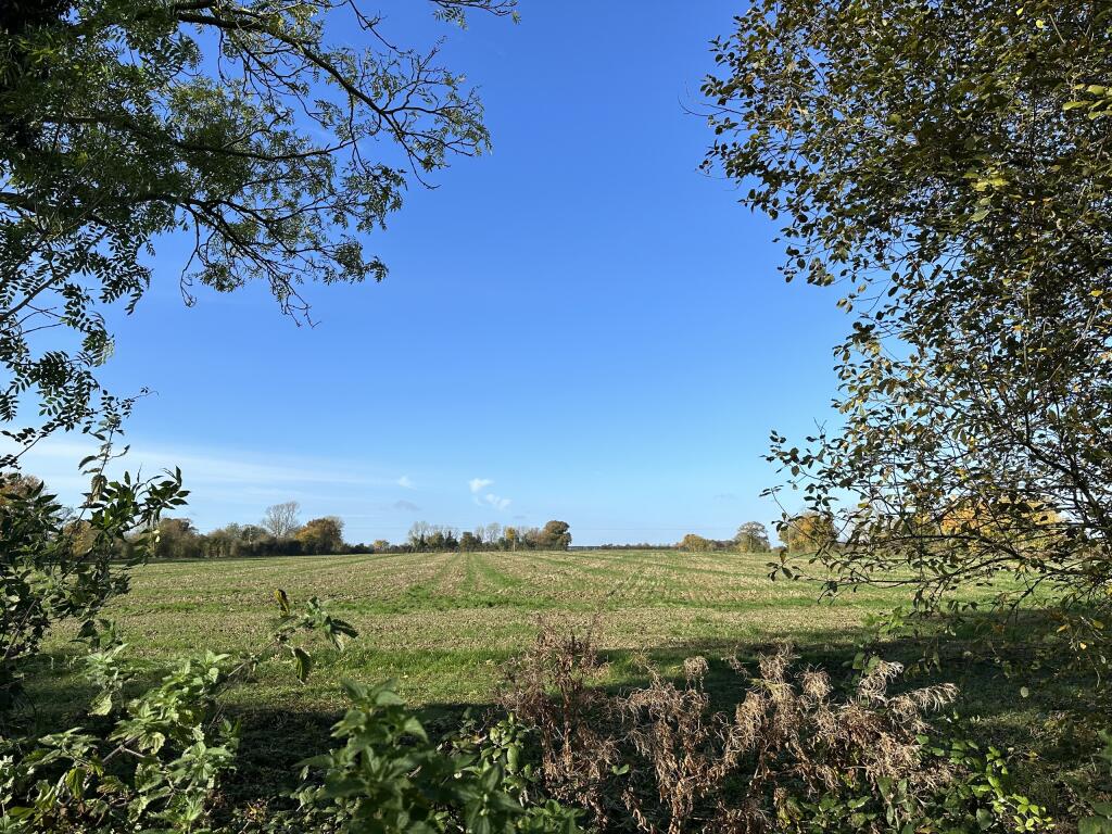 Photo 11-11-2024, 10 54 17