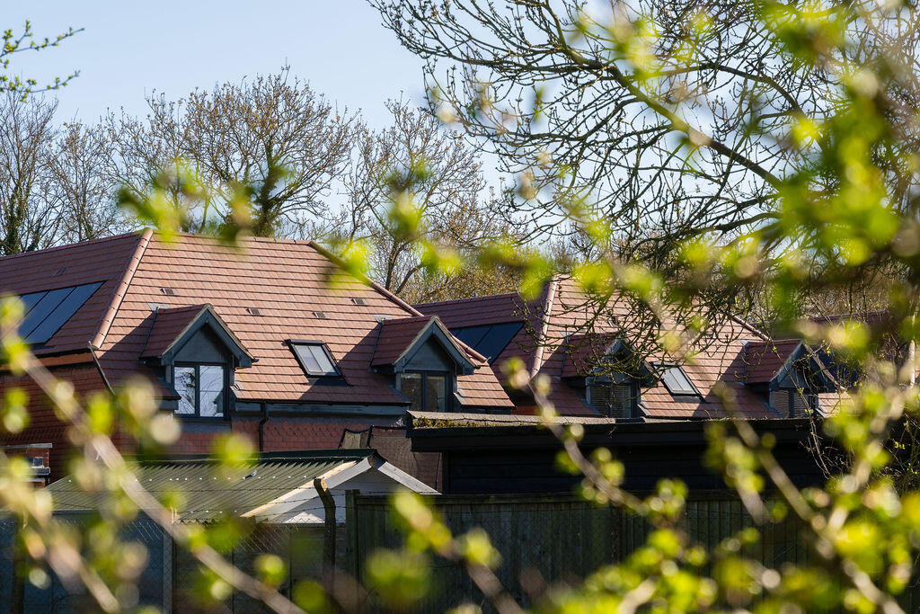 Surrounding Woodlands