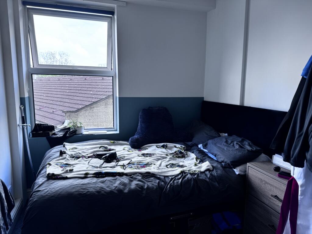 IMAGE 6