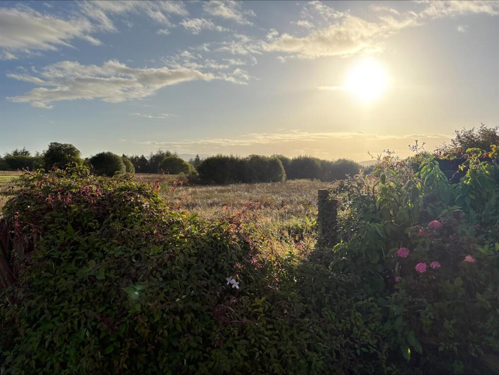 processed-3060BB5F-5722-4A2E-9324-7BD4132B3D69.jpe