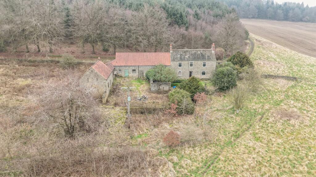 dji_fly_20240307_105732_0001_1709809633760_photo.j