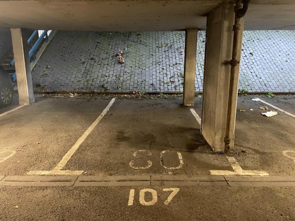 IMG_0891.jpeg