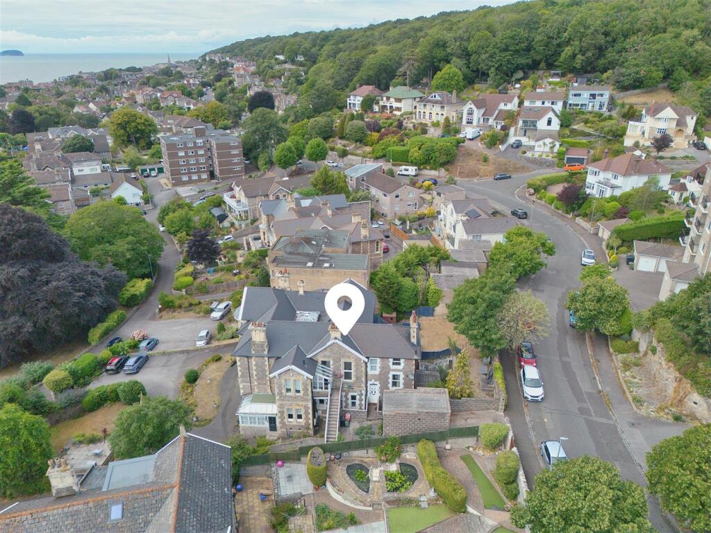 Drone View