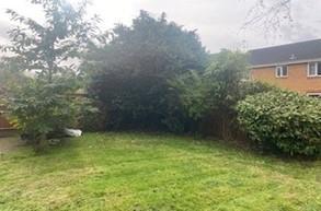 garden.jpg