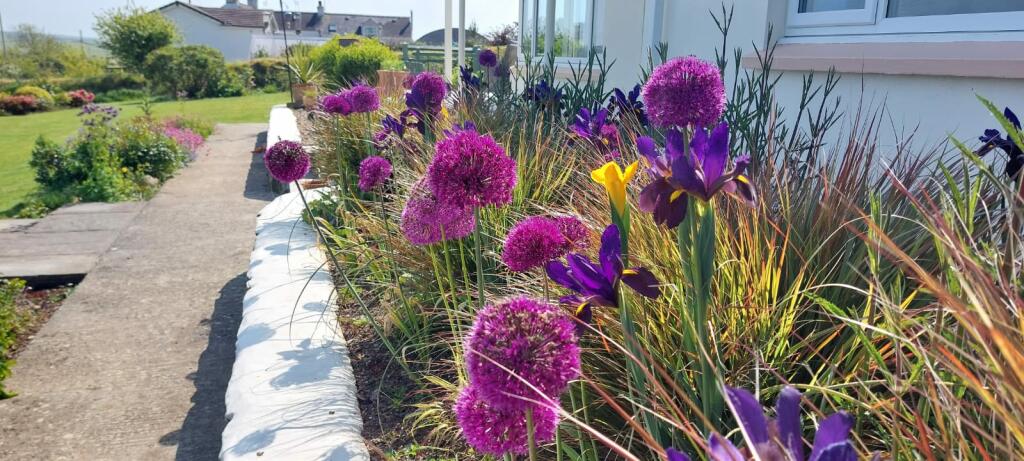 PHOTO-2024-12-11-13-40-47