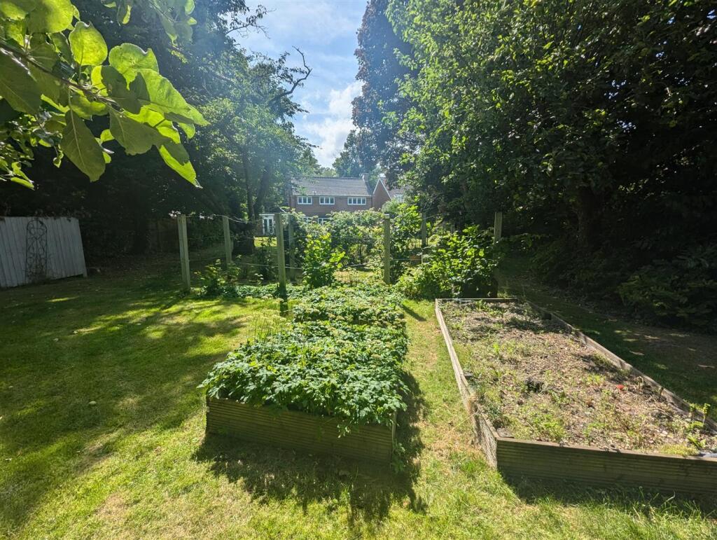 Garden.jpg