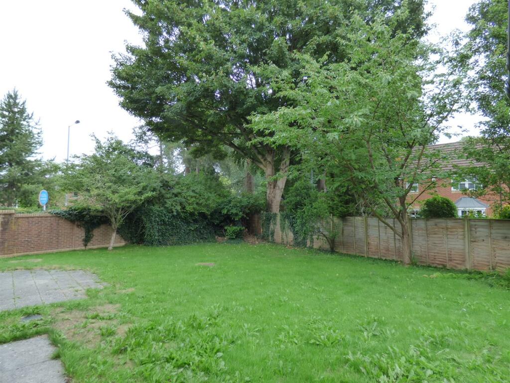 garden.JPG